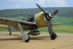 fw190-fini1.jpg