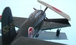 4_6_B6N2 Jill_1495.JPG