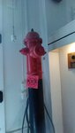 IMG_20210402_113249.jpg