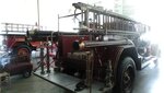 IMG_20210402_113845.jpg