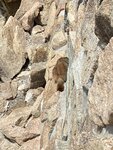 6.jpeg