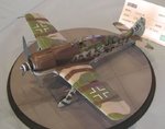 Fw190A-8_9878.JPG