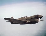 P-40D002copy2.jpg
