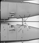 Wing Underside.jpg