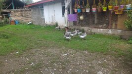 P_20180823_100756.jpg