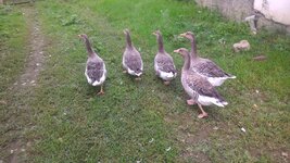 P_20180823_100812.jpg