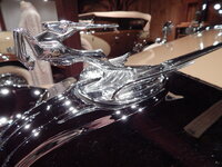 DSCN5529.JPG