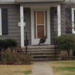 On front porch Super Bowl Sunday, 2-4-18.jpg