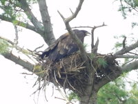 DSCN9527.JPG
