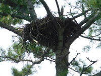 DSCN9528.JPG