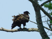 DSCN9529.JPG
