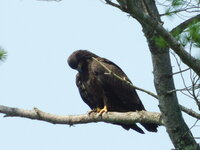 DSCN9531.JPG