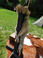 DSCN9547.JPG