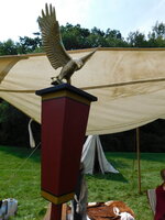 DSCN9551.JPG
