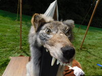 DSCN9552.JPG