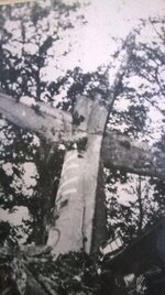 906.jpg
