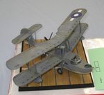 Walrus_2062.JPG