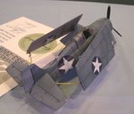 Wildcat_0633.JPG