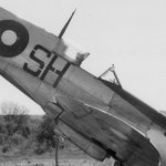 85sqnRAAF7.jpg