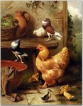 Hunt_Edgar_A_Chicken_Doves_Pigeons_And_Ducklings.jpg