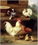 Hunt_Edgar_A_Cockerel_Hen_And_Chicks_With_Pigeons.jpg