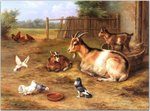 Hunt_Edgar_A_farmyard_Scene_With_Goats_Chickens_Doves.jpg