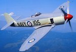 Seafury_RAN_WM587_Preserved_flying.jpg