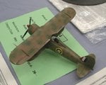Cr42 captured_1764.JPG