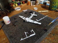 P5120001.JPG