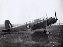 img774.jpg