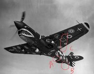 28_Air_Forces_Insignia_Mark_on_P-40N_15_000th_Curtiss_P-40_1944.jpg