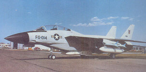 F-14_ADC.jpeg