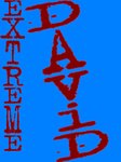 extremedavid_124.jpg