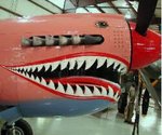 p-40-shark_143.jpg