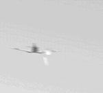 bf109f-4_164.gif