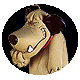 muttley_291.gif
