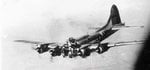 b17sinnariz4ym_613.jpg