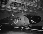 shark-s_196.jpg