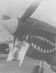 warhawk_takes_i_bite_of_a_mustang_171.jpg