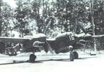 p-38__shark_740.jpg