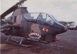 cobra_145.jpg