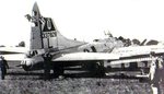 dmgdb17_758.jpg