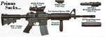 zsigst2_m4comp_126.jpg