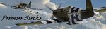 zsig_p-51b_119.jpg
