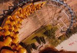 coaster06_123.jpg