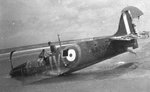 spitfire_down_118.jpg