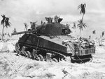 USMC-C-Tarawa-p22.jpg