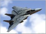 1446-tomcat.jpg