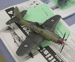 Wyvern_2041.JPG