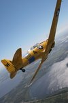 Warbird2.JPG